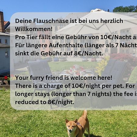 Hw3 - Urlaubsmagie - Helle, Grosse Wohnung Mit Pool Sebnitz Exterior photo